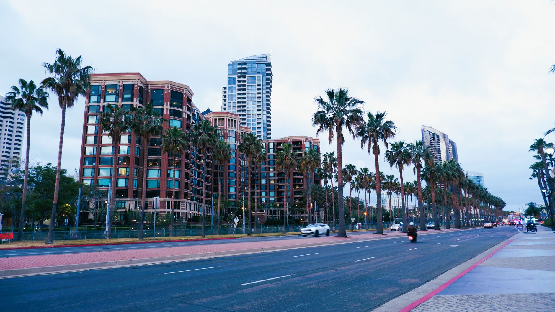 Palm trees lining Sunset Boulevard in Los Angeles at dusk